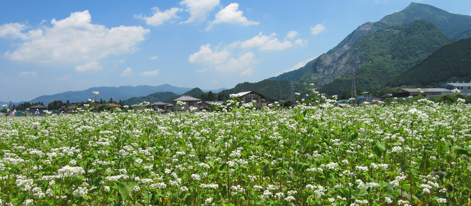 荒川エリアについて