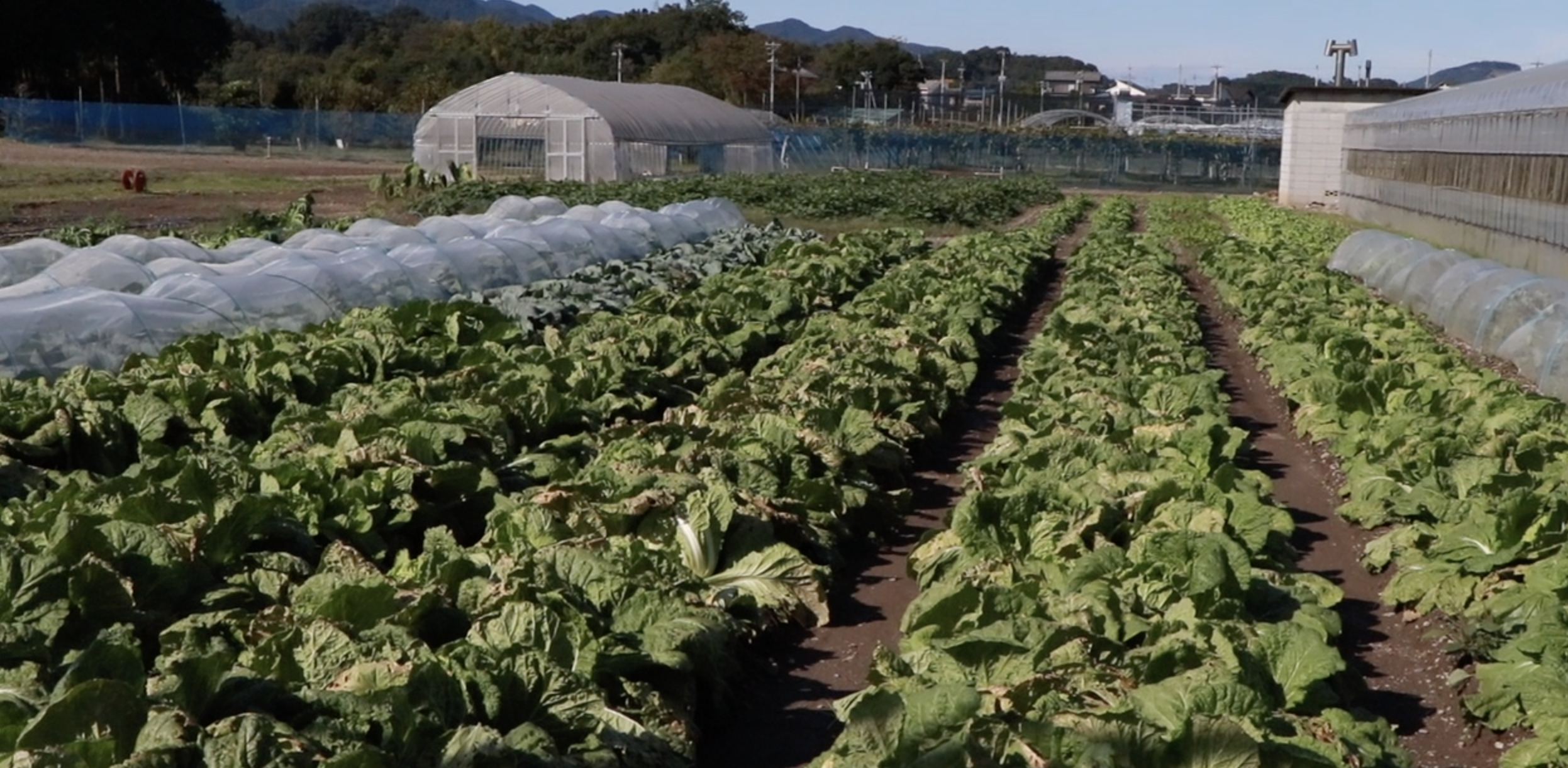 秩父の高校生の特徴と教育環境