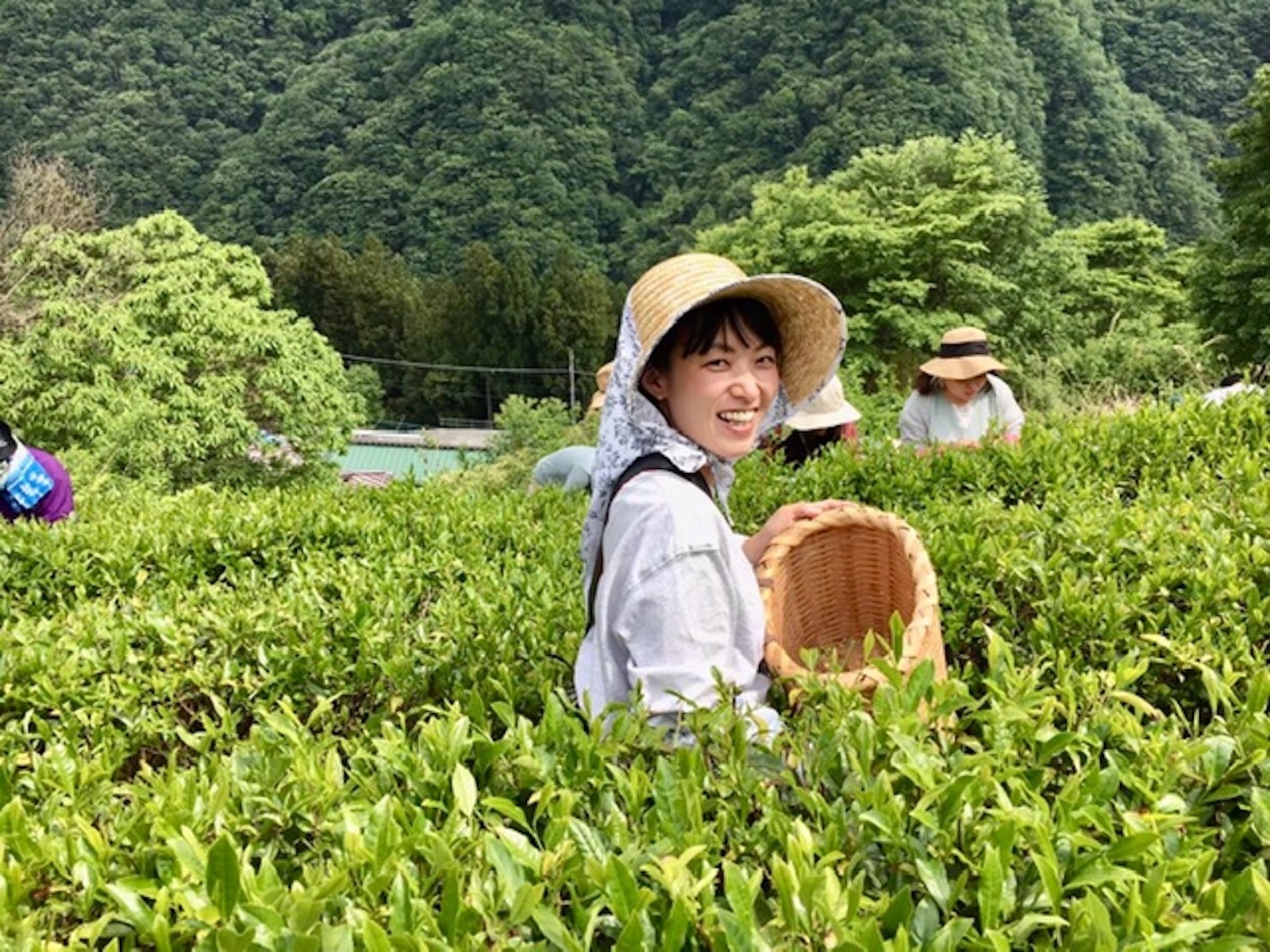 松田 あずさ(まつだ あずさ)