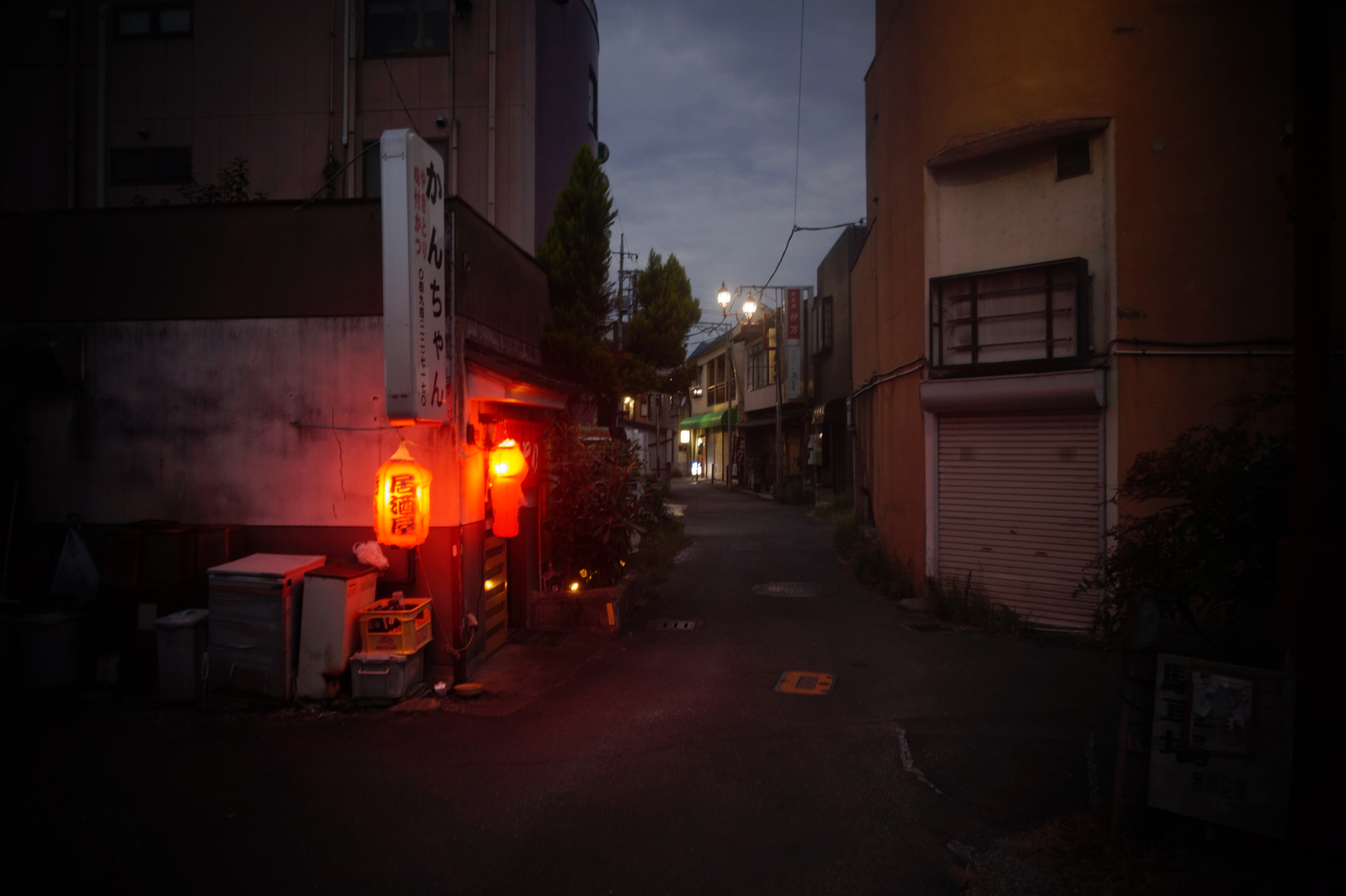 たそかれのいざない