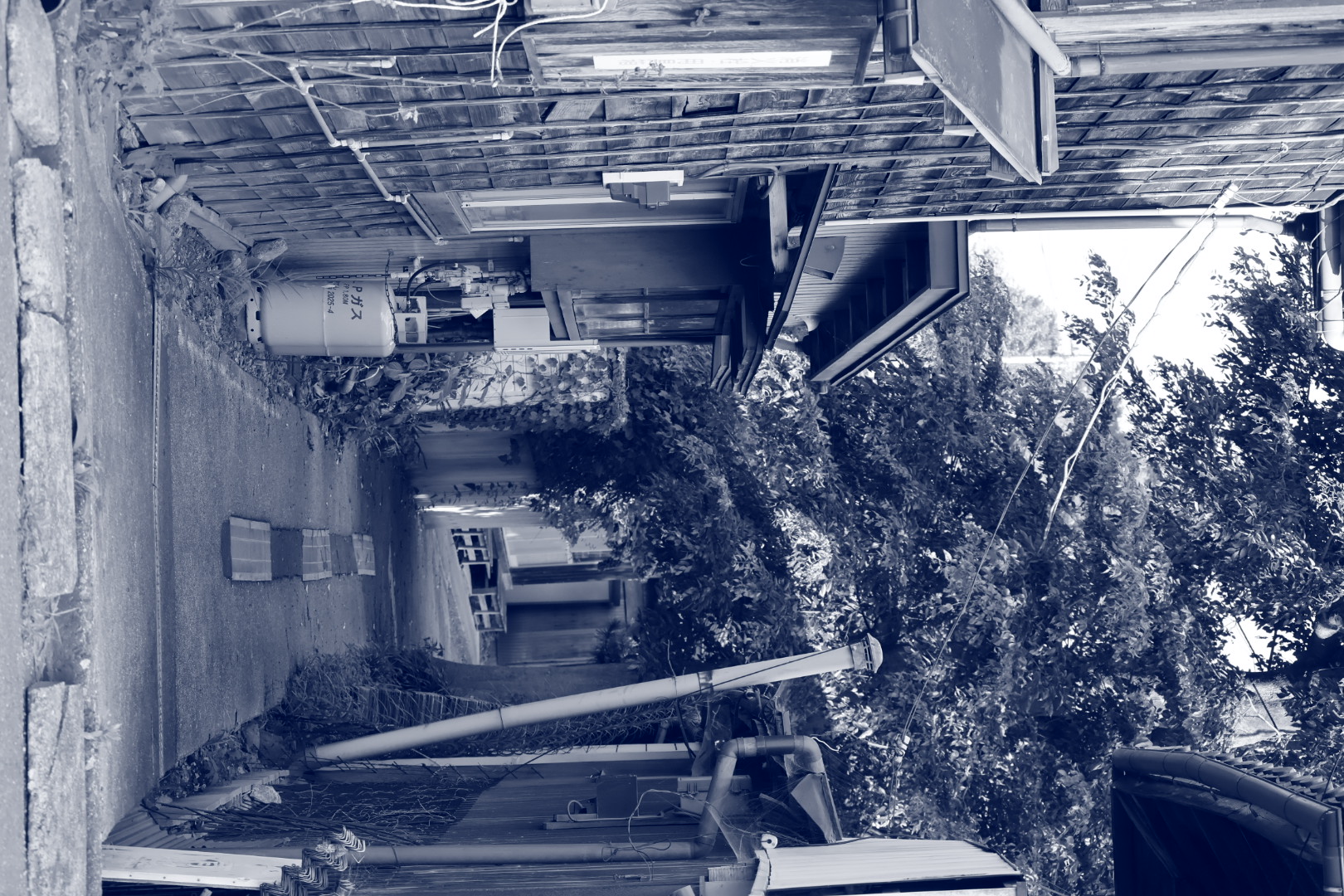 路地を抜けた先