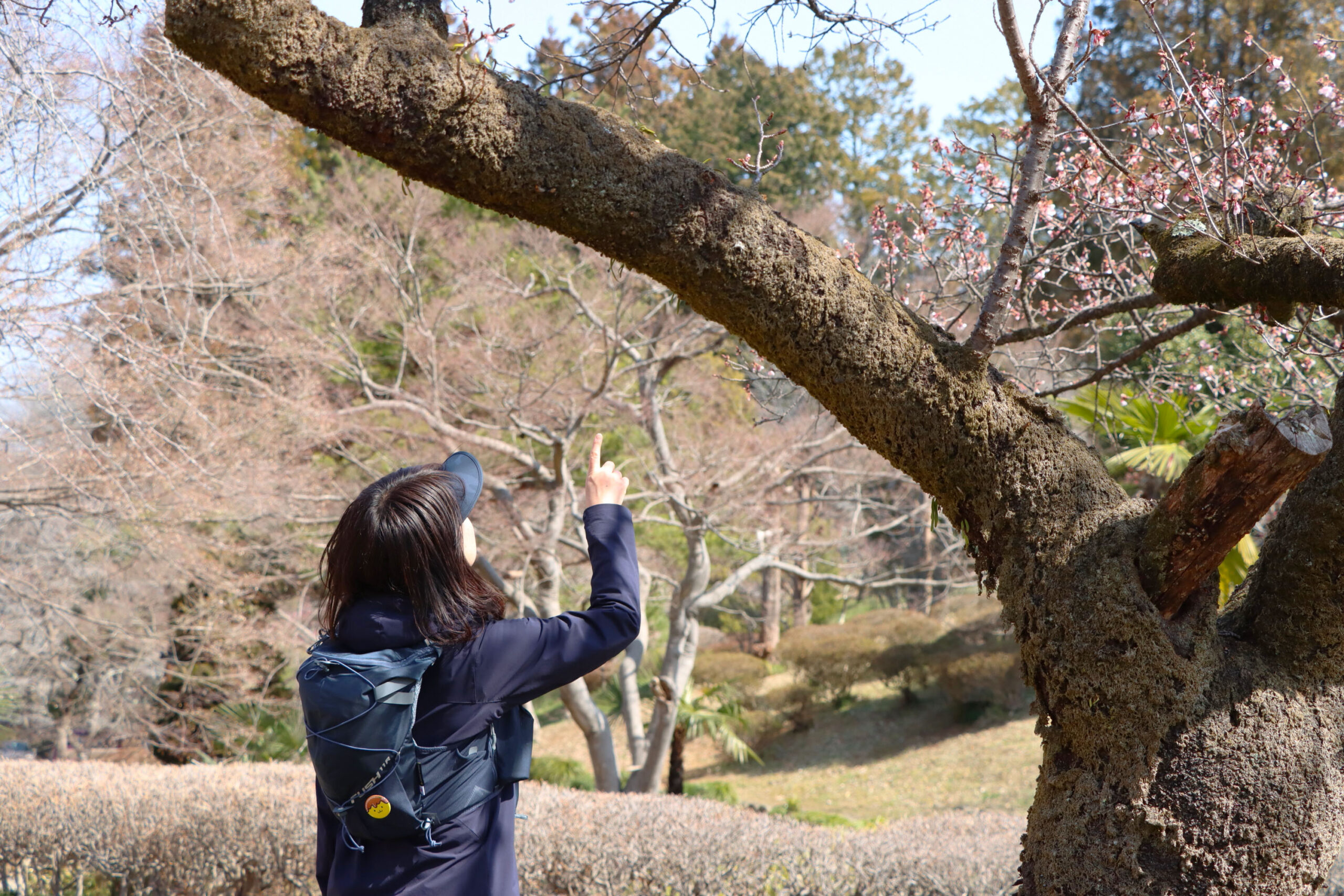 移住の経緯